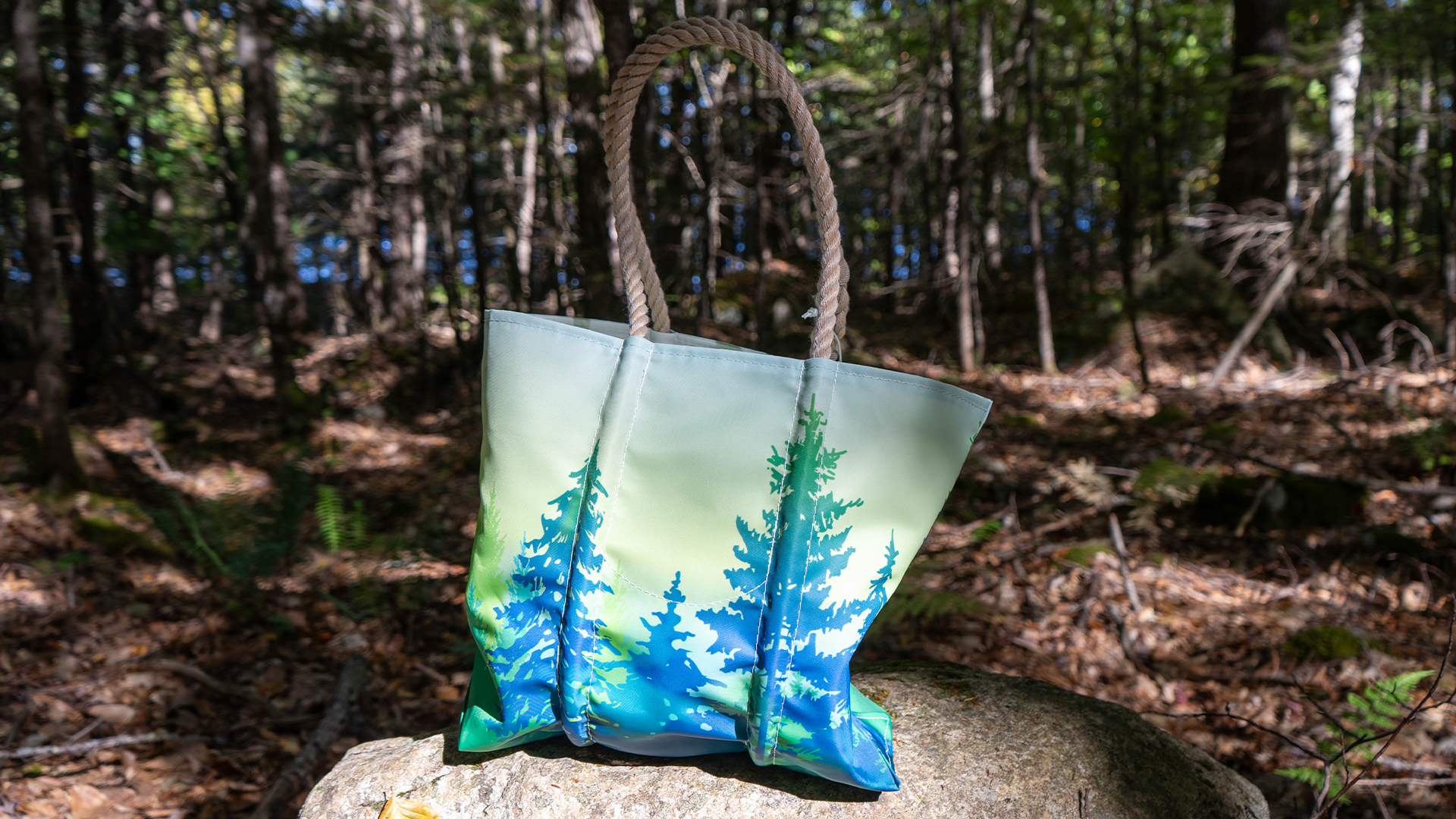 Seabags_Banner2 Pine Tree Society + Sea Bags Collaboration